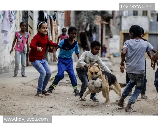 动物界的足球明星究竟是谁让我们一起揭晓这个有趣的谜团